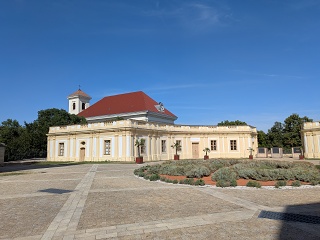 PXL 20260725 135303471